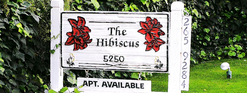 If you are looking for  Apartments Hibiscus you can check it out