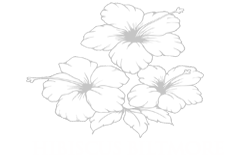 Hibiscus Phoenix Biltmore Apartment Homes